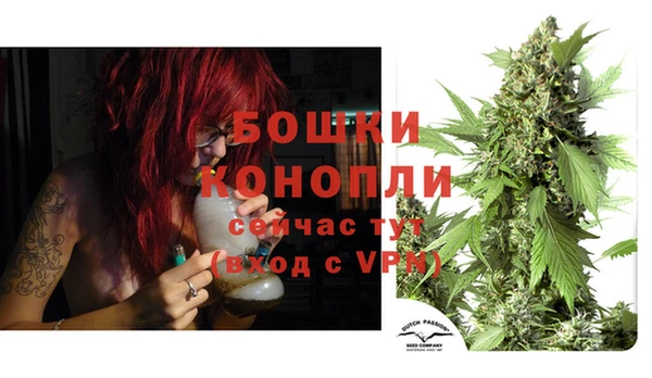 ГАЛЛЮЦИНОГЕННЫЕ ГРИБЫ Киренск