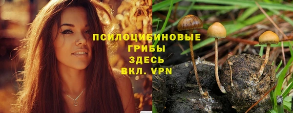 ГАЛЛЮЦИНОГЕННЫЕ ГРИБЫ Киренск