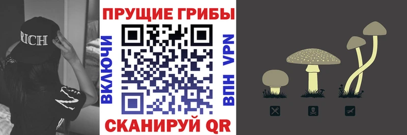 Купить где  Вятские Поляны  Псилоцибиновые грибы мухоморы 